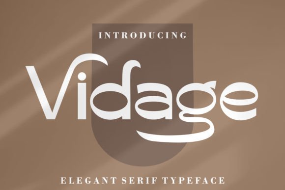 Why Vidage is the Modern Serif Your Brand Needs